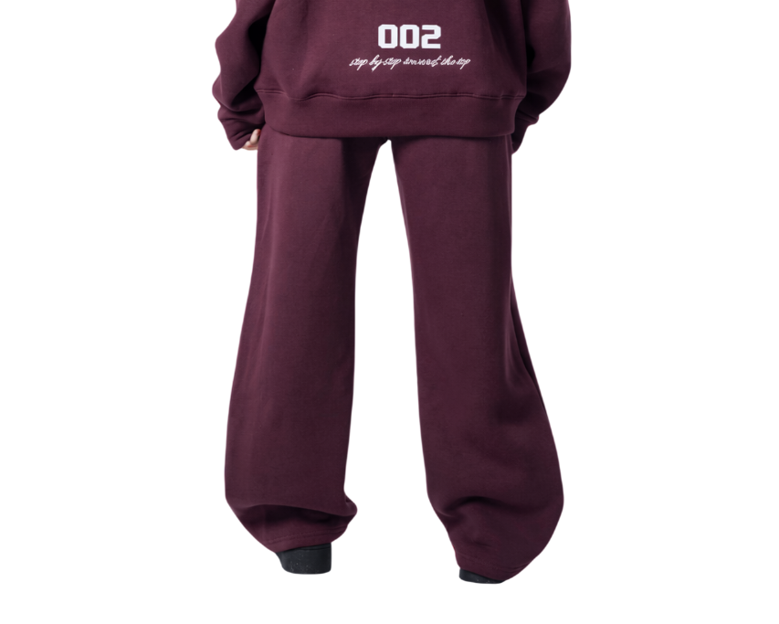 SLEEK BURGUNDY PANTS